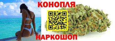 гидропоника Новокубанск