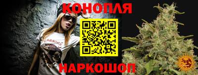гидропоника Новокубанск